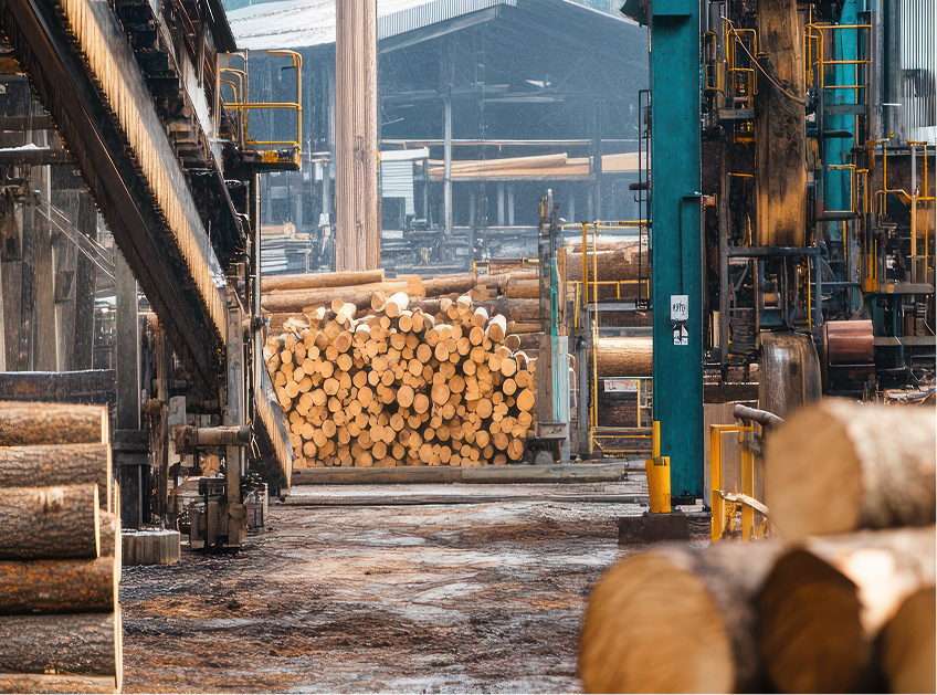 Forestry and Sawmills